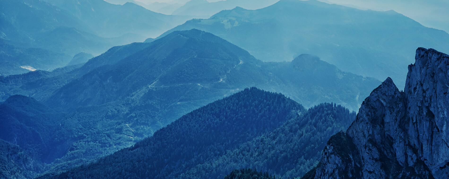 about_banner